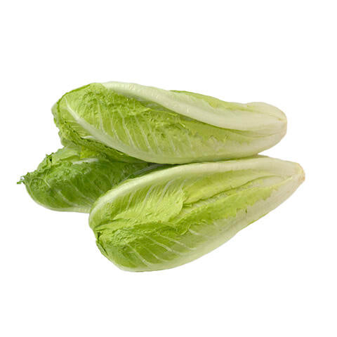 Organic Romaine Hearts