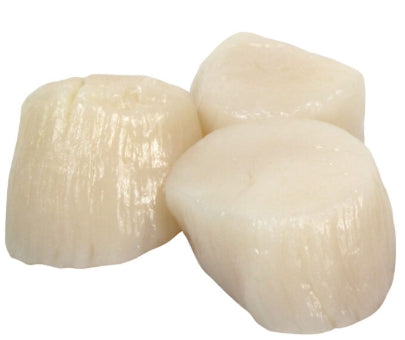 Individually Frozen Sea Scallops U/10