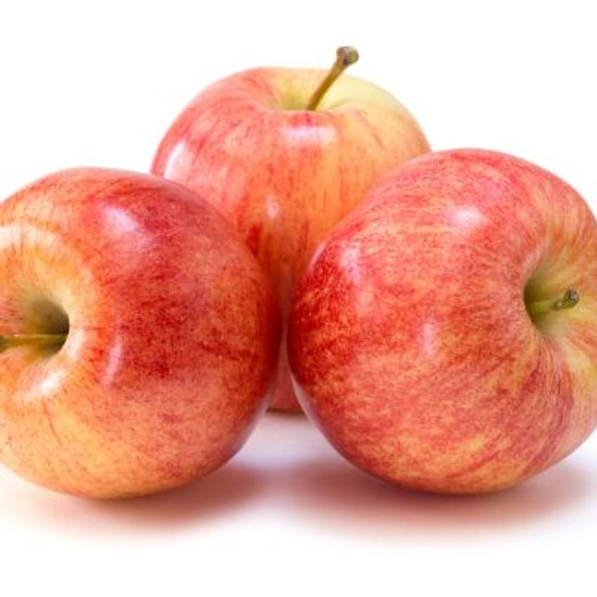 Gala Apple